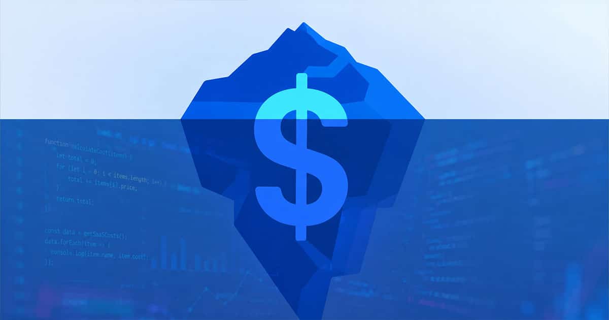software development hidden costs